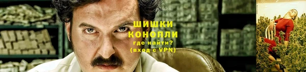 мяу мяу мука Магадан