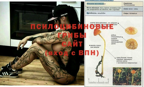 кокаин перу Магас