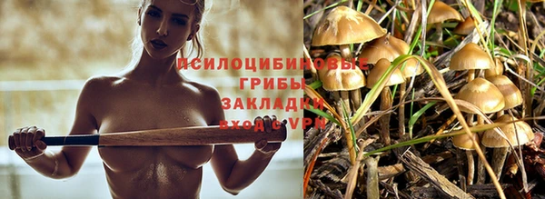 каннабис Заволжск