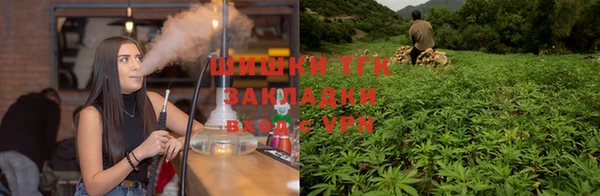 гашик Майский
