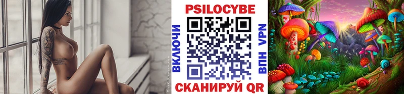 hydra tor  Шацк  Галлюциногенные грибы Magic Shrooms  магазин продажи наркотиков 
